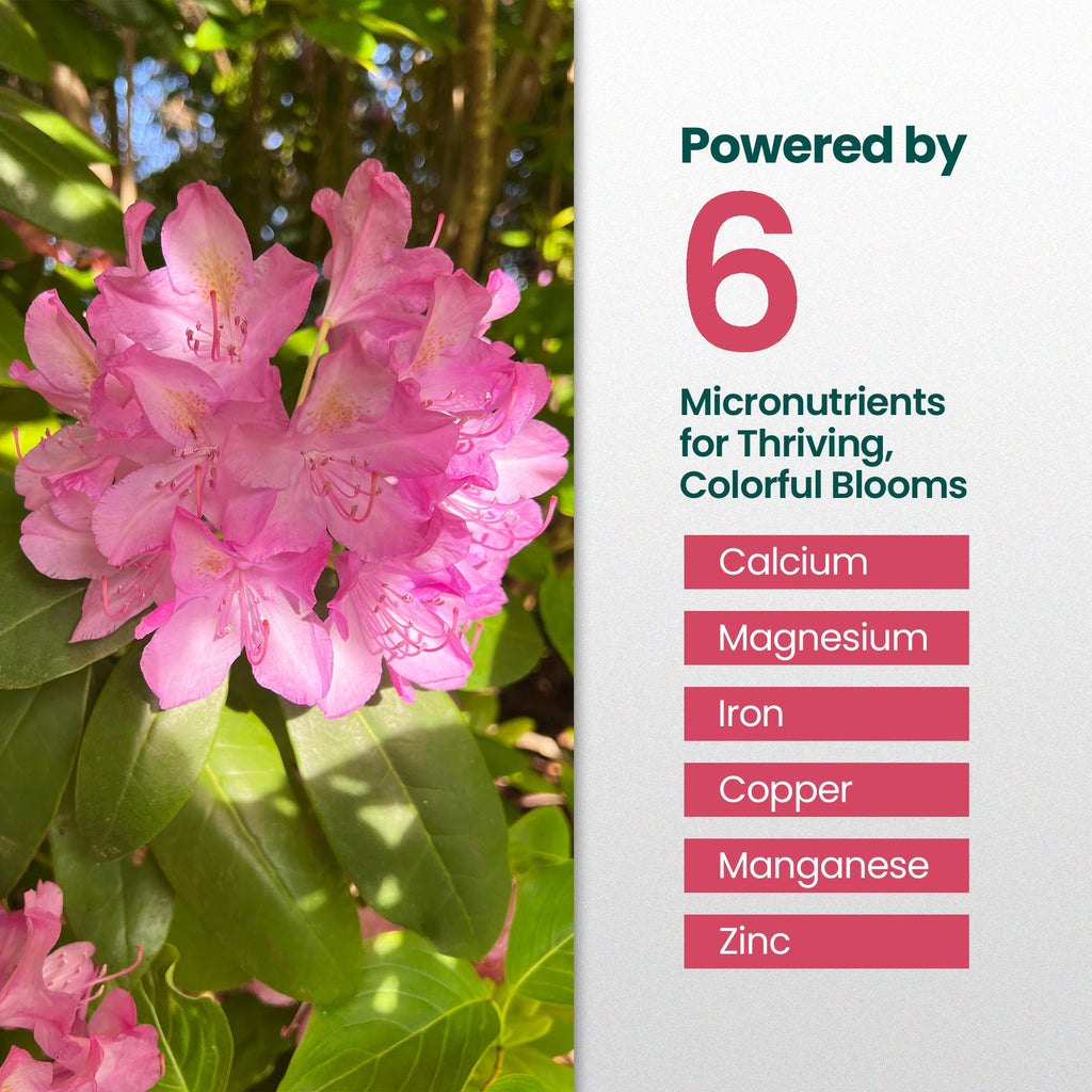 16oz Rhododendron Plant Food U5466