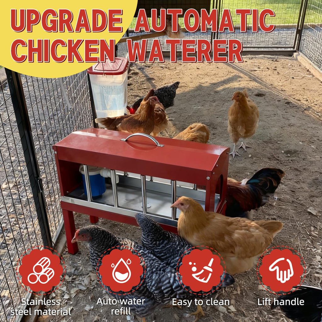 Automatic Chicken Waterer with Detachable Legs H1982