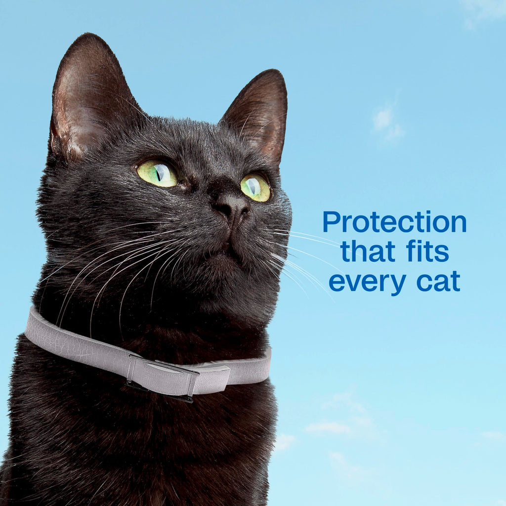 Adjustable Flea & Tick Collar for Cats X74107