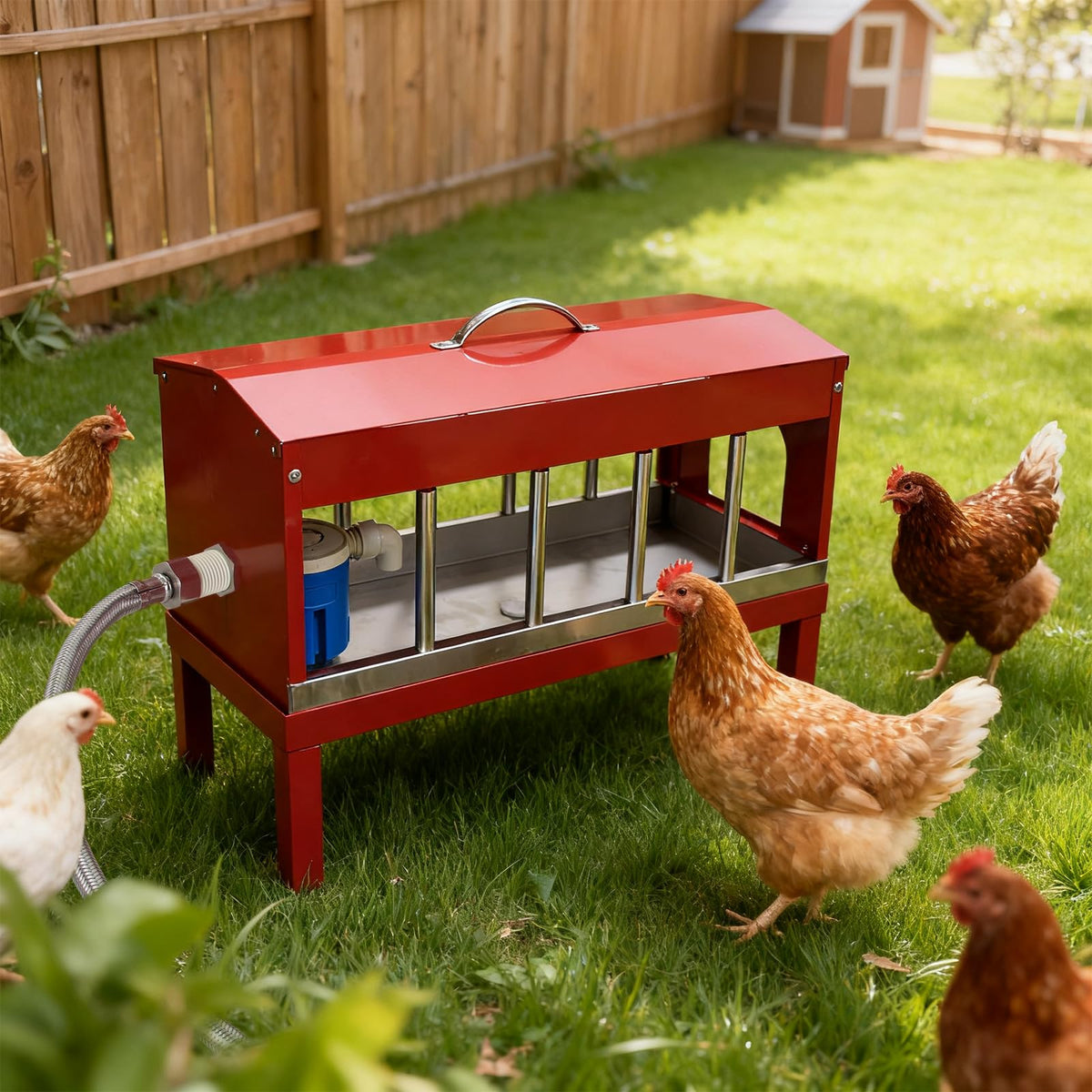 Automatic Chicken Waterer with Detachable Legs H1982