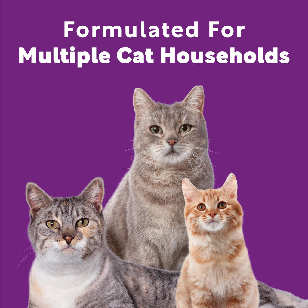 Multi Cat Litter Meadow Fresh Scent 14 lb E96087