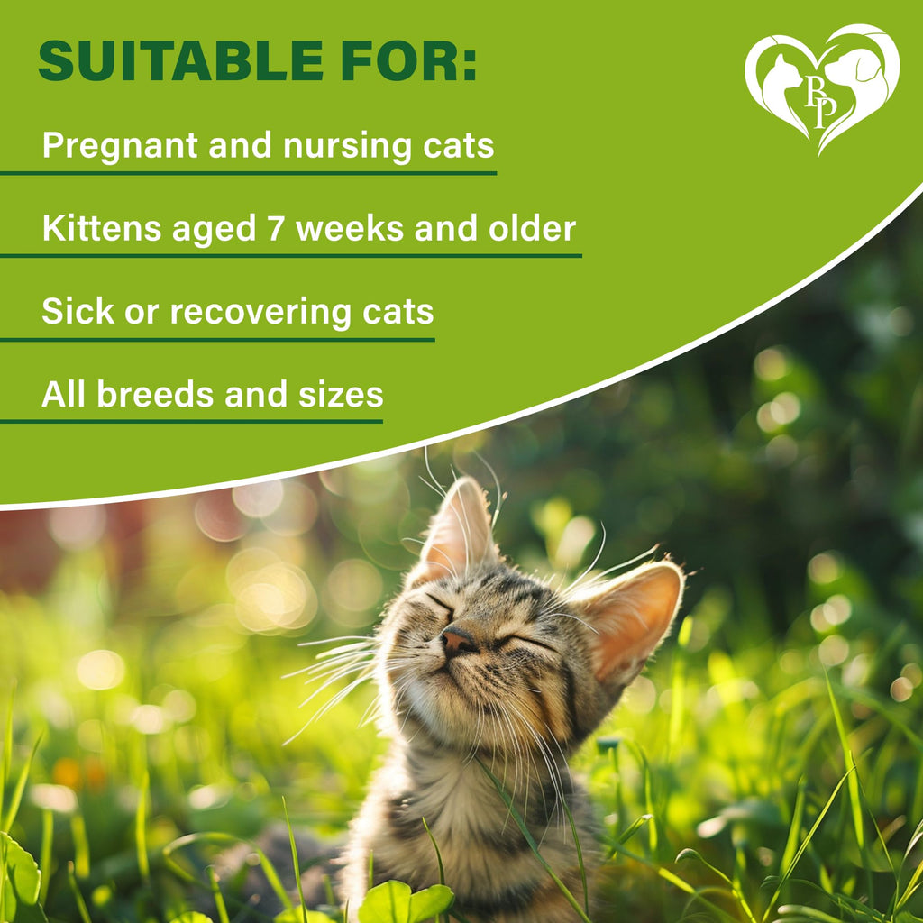 Natural Flea & Tick Collar for Cats 1 Pack M1082