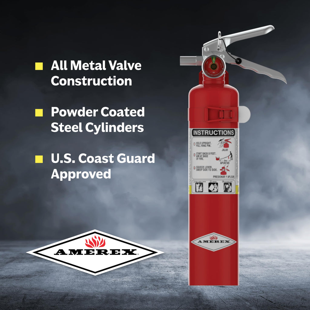 2.5 lb. ABC Dry Chemical Fire Extinguisher with Wall Bracket, 2 Pack P776