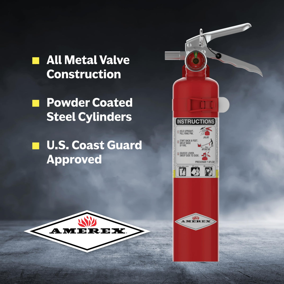 2.5 lb. ABC Dry Chemical Fire Extinguisher with Wall Bracket, 2 Pack P776