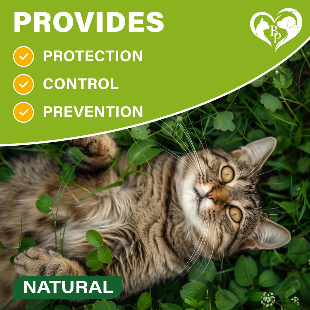 Natural Flea & Tick Collar for Cats 1 Pack M1082