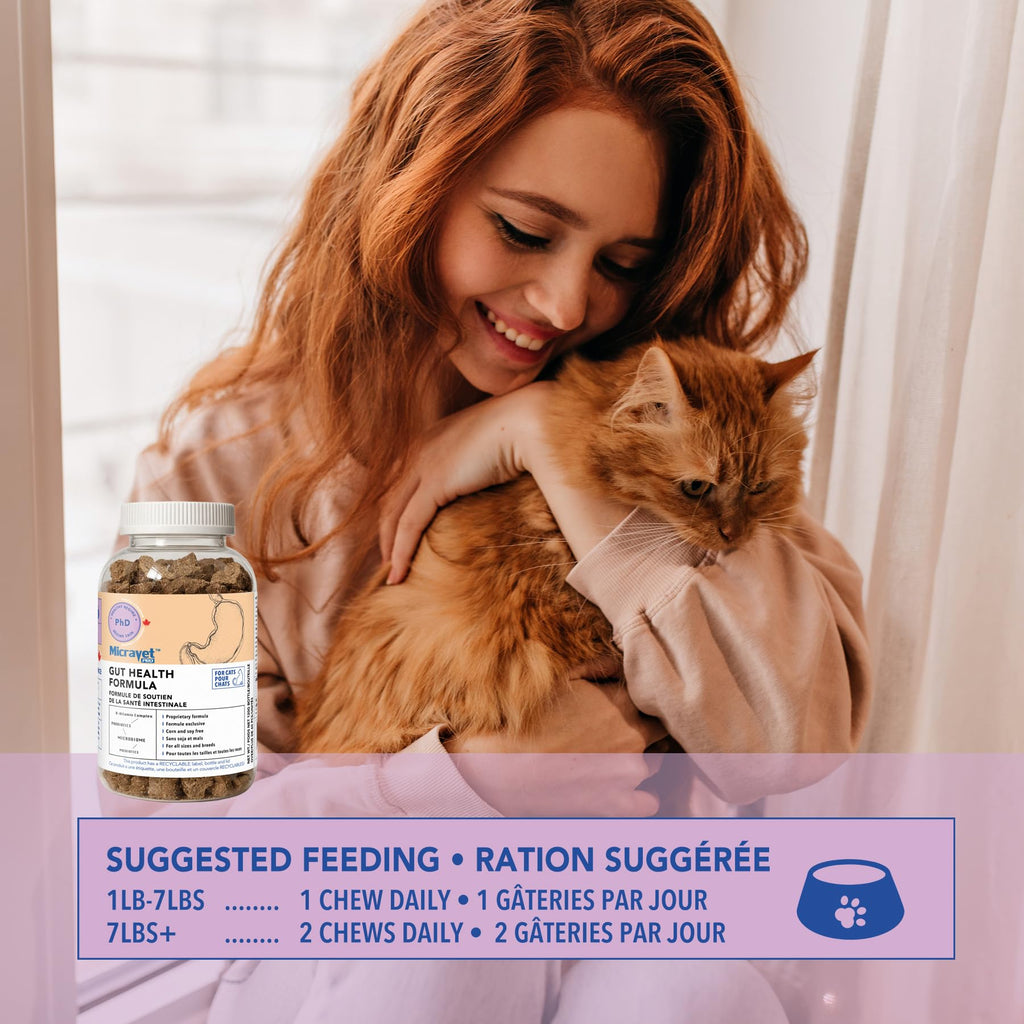 Probiotic Soft Chews for Cats X65143