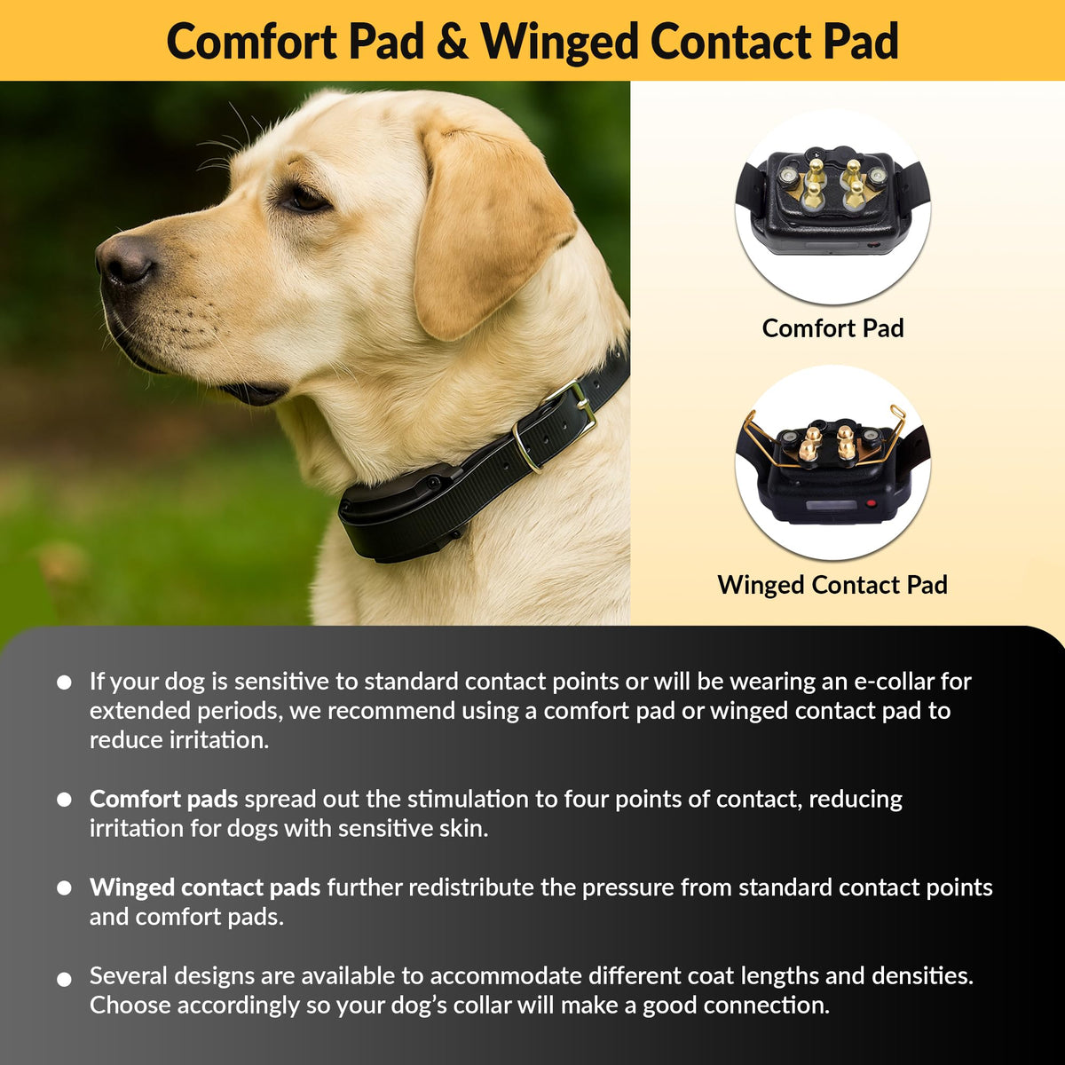 Brass Contact Pads for Training Collars V88176