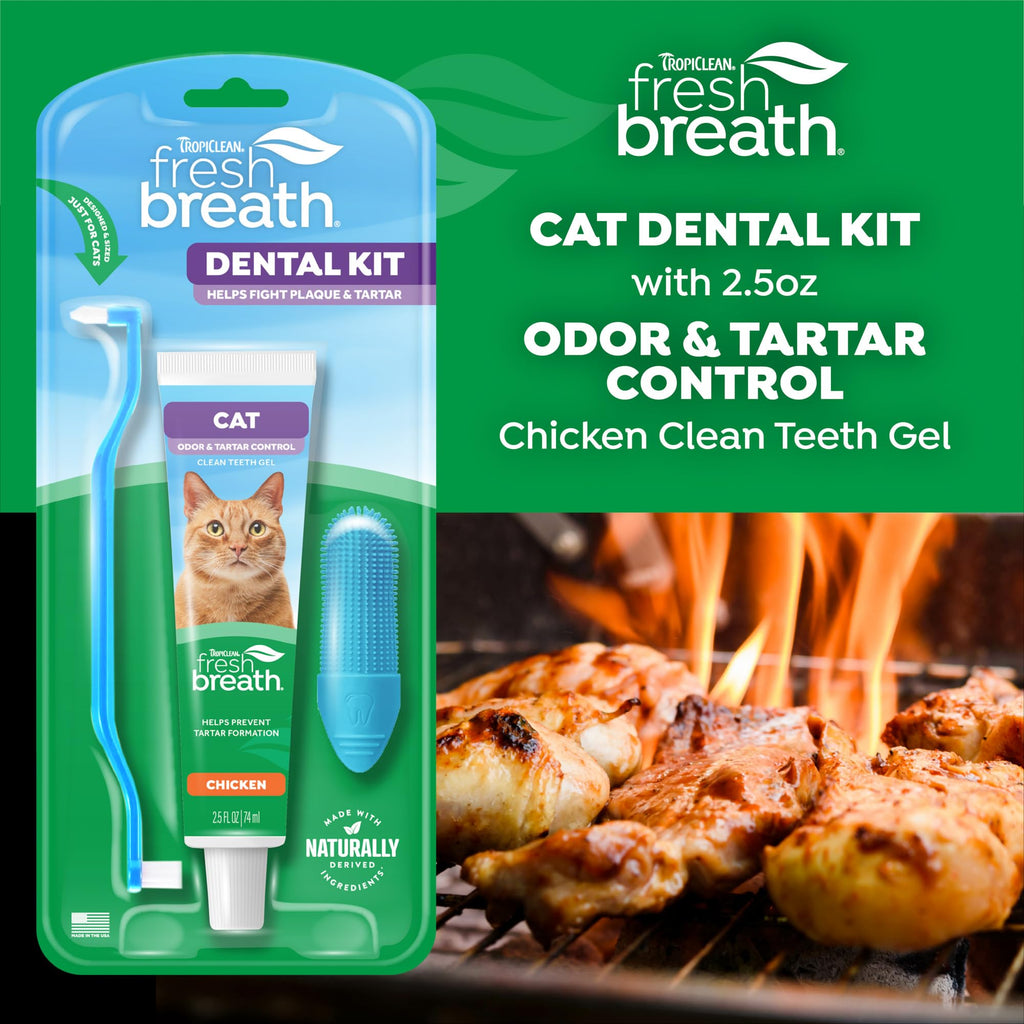 Cat Toothbrush and Toothpaste Kit F7541