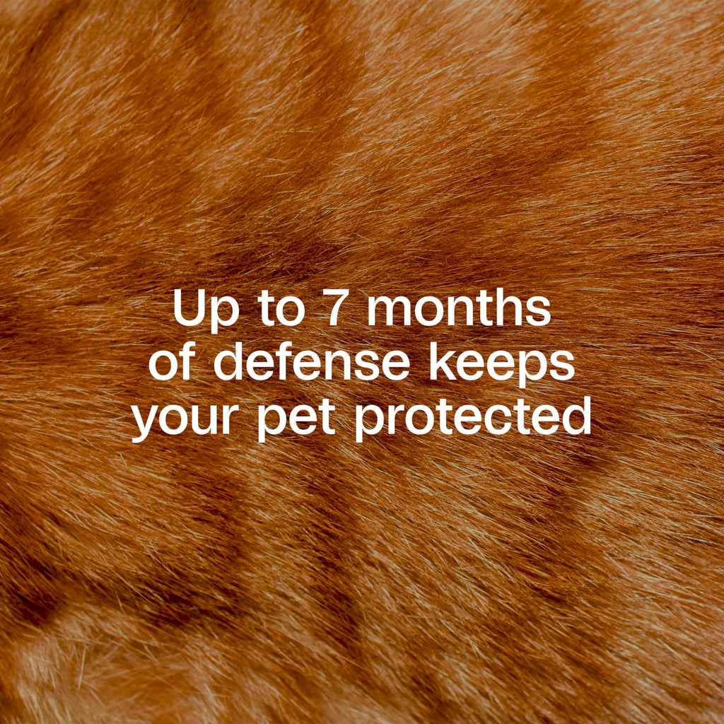 Adjustable Flea & Tick Collar for Cats X74107