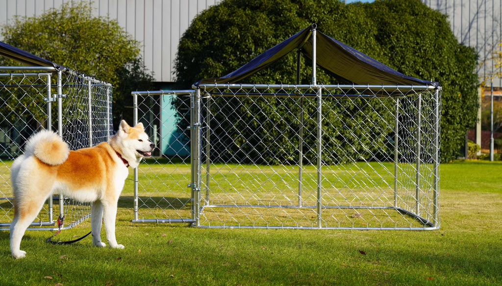 Heavy Duty Steel Dog Kennel with Secure Lock I98017