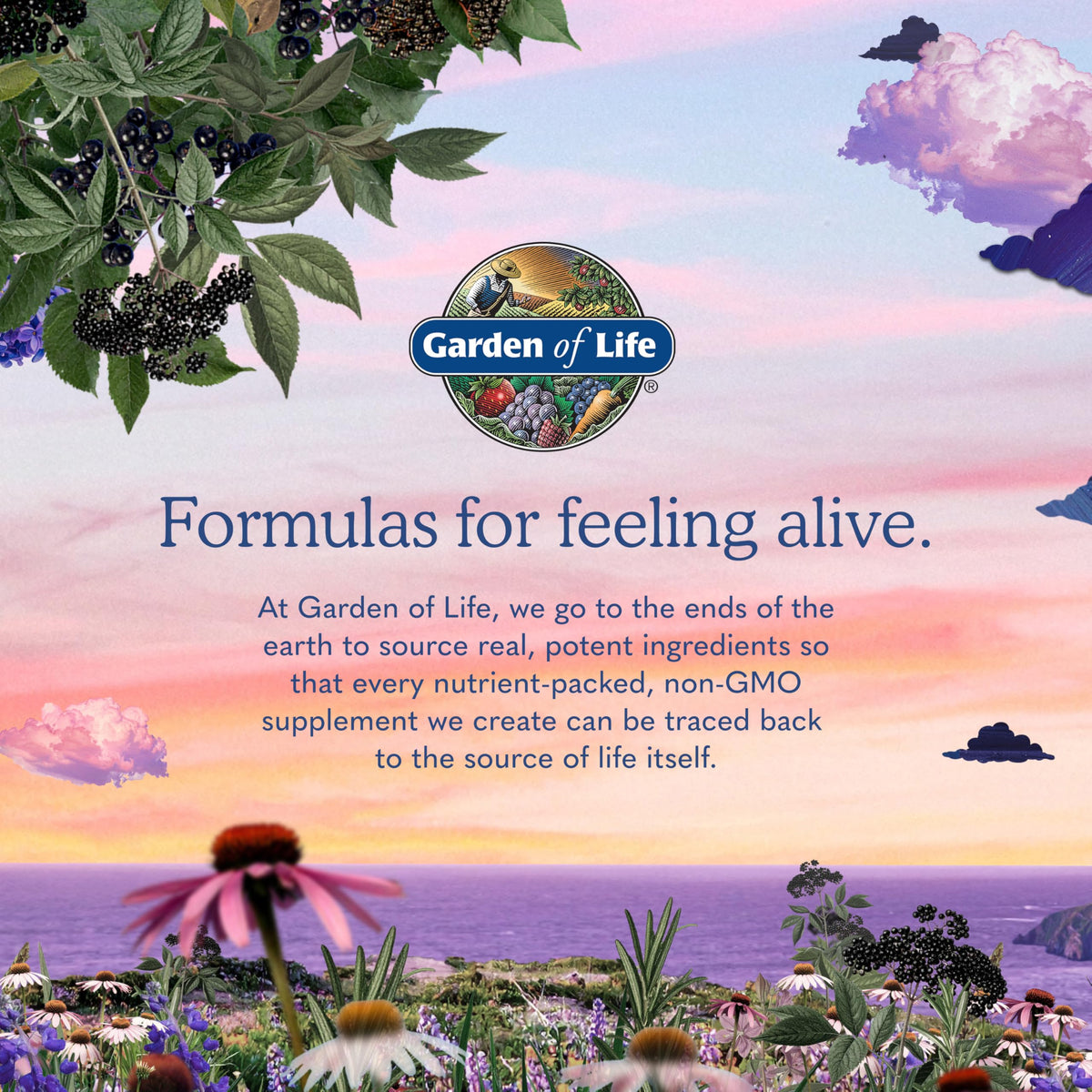 Vegan B-12 Methylcobalamin 30 Capsules V460