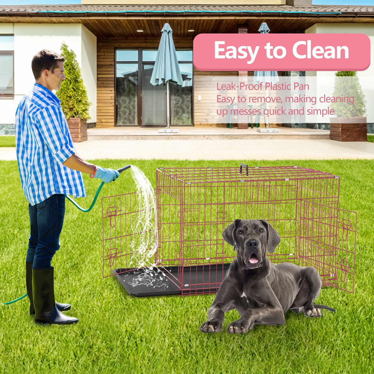 Foldable Double Door 48" Dog Crate with Leak-Proof Tray Y3062